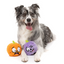 Fuzzyard - Trick or Treat Duo 2 Pack Dog Toy