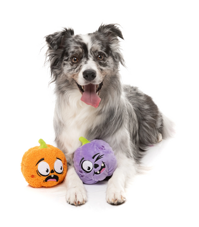 Fuzzyard - Trick or Treat Duo 2 Pack Dog Toy