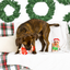 Fringe - Here They Crumb Nosework Dog Toy