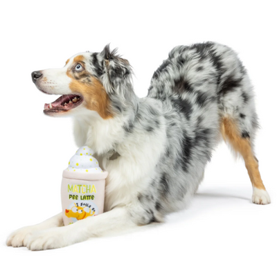 Huxley & Kent - Matcha Pee Latte Dog Toy