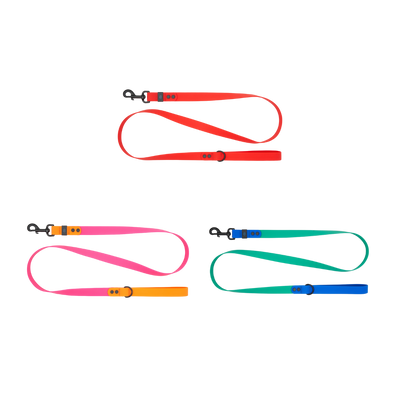 RC Pets - Waterproof Leash