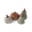 Lambwolf Collective - Cindarella Dog Toy
