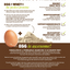 SquarePet - Dry Dog Food - Square Egg