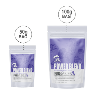 Furbabies - Mushroom Powder Power Blend 5+