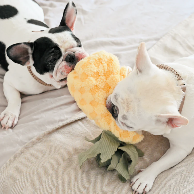 Lambwolf Collective - Pineapple Pop Dog Toy
