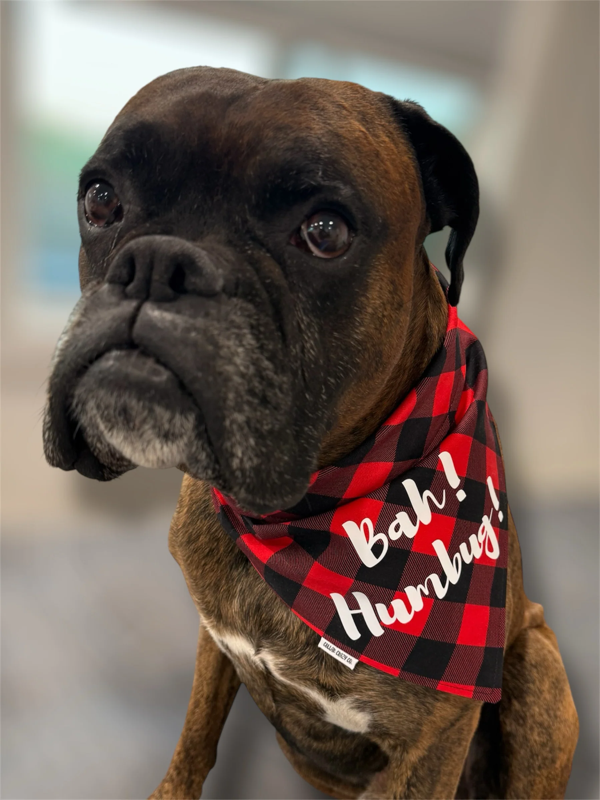 Collar Crazy Co – Bah Hum Bug Snap On Bandana