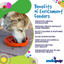 SodaPup - Sun and Moon Shallow Slow Feeder Enrichment Bowl