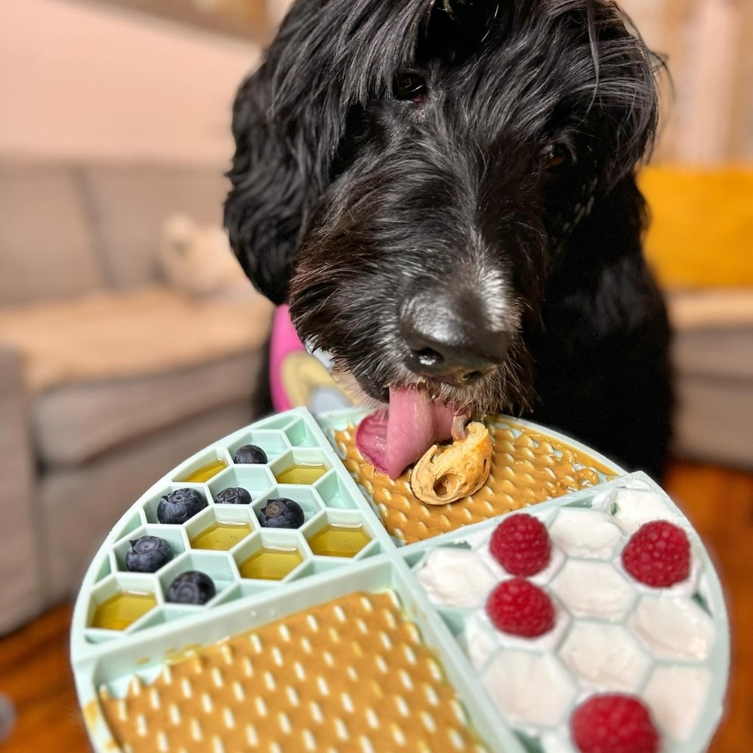 Bark Bistro - Valentine's Day Sweetheart Buddy Budder Peanut Butter Squeeze Pack