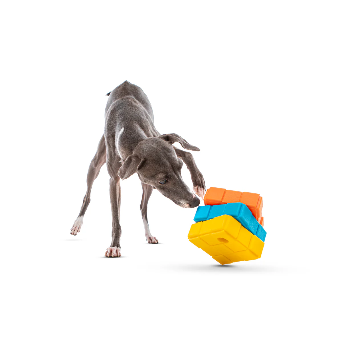 Guru - Dog-X-Cube Treat Dispenser