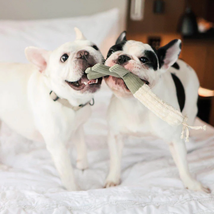 Lambwolf Collective - Corn and Leek Dog Toy