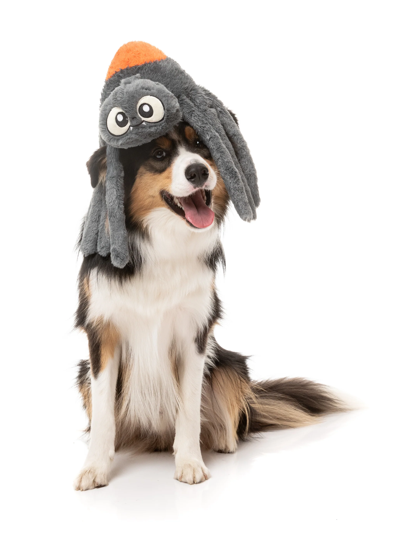 Fuzzyard - Arachnate the Spider Dog Toy