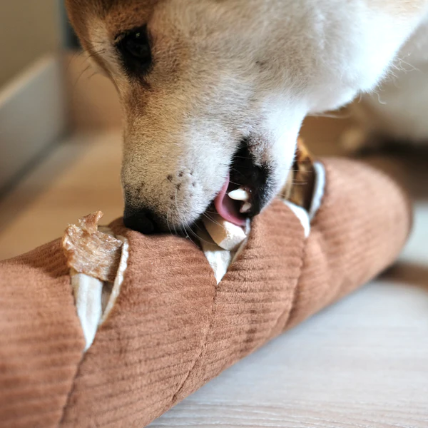 Lambwolf Collective - Baguette Dog Toy