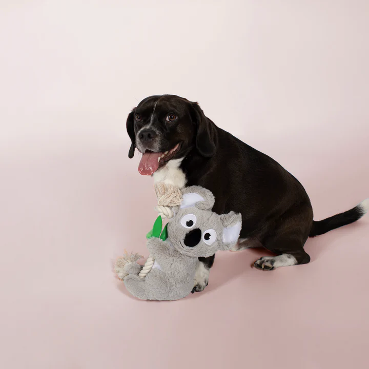 Koala top dog toy
