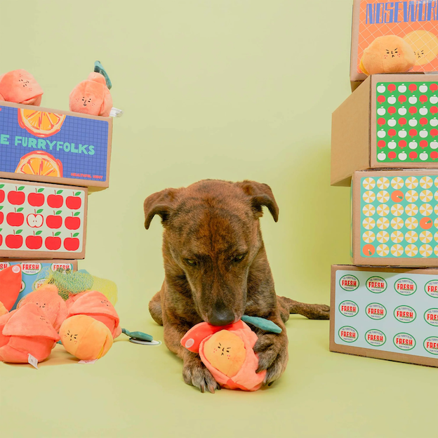 The Furryfolks - Orange Nosework Toy