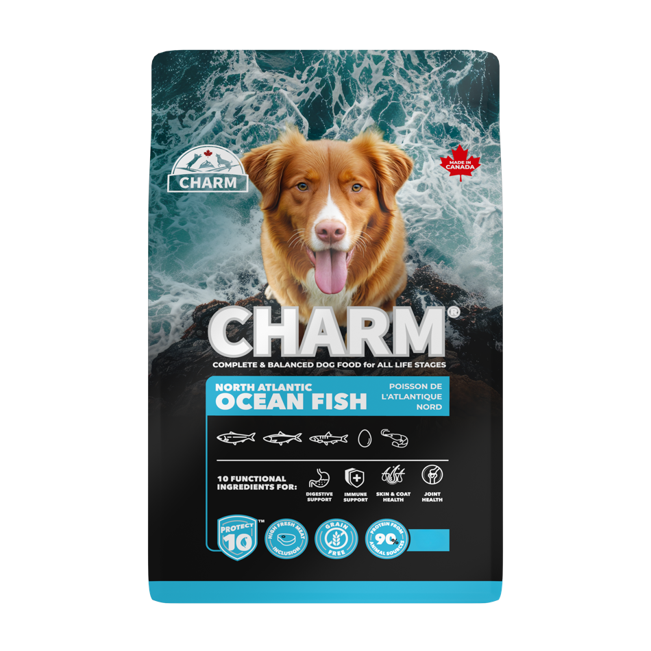  Charm - Dry Dog Food
