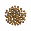 Go! - Skin & Coat Care - Dry Dog Food