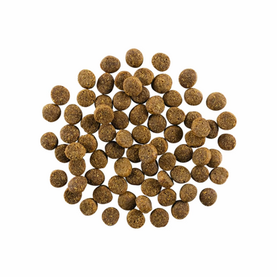 Go! - Skin & Coat Care - Dry Dog Food