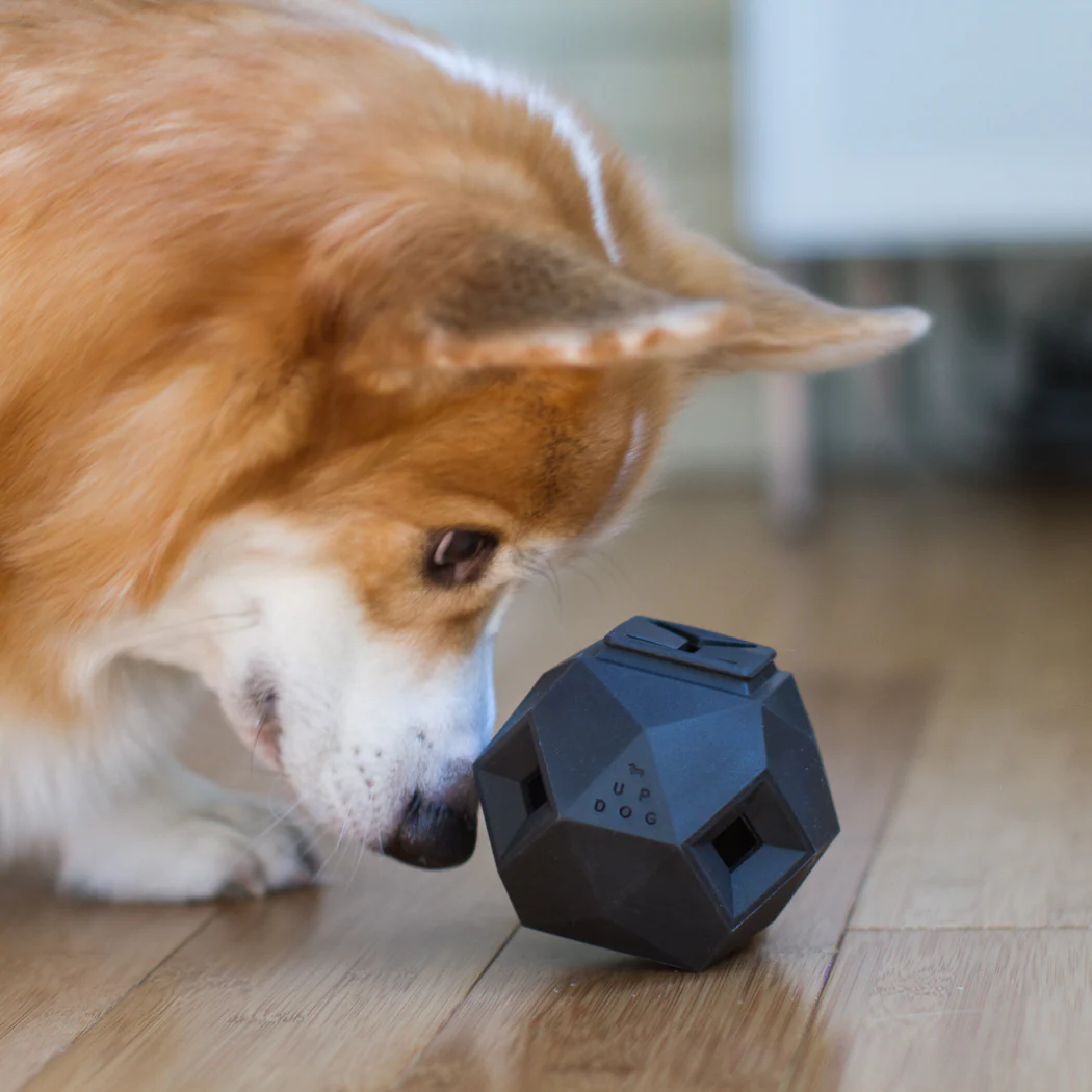 Up Dog - The Odin - Puzzle Toy