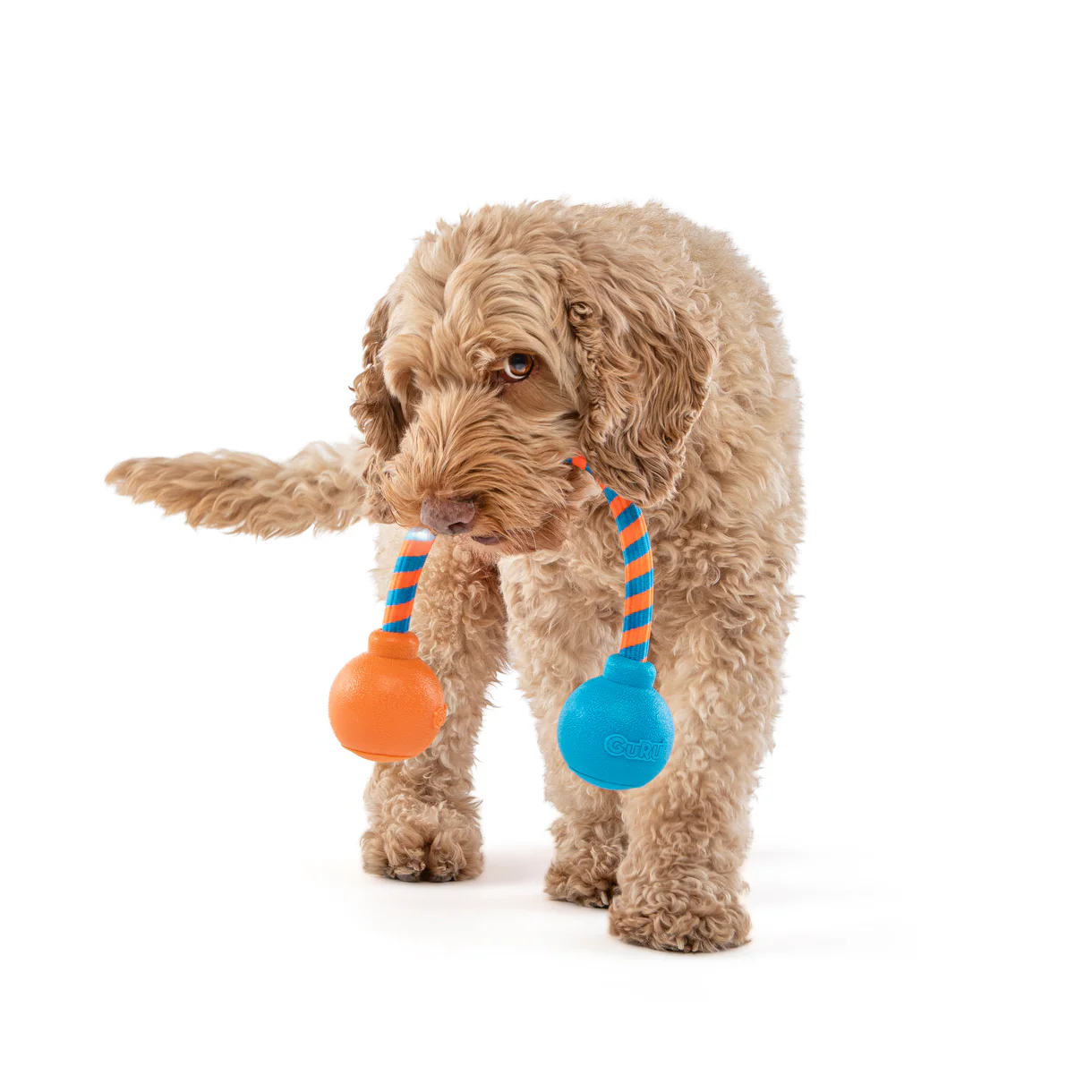 Guru - Squeaking Rope & Ball