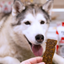 Open Farm - Jerky Strips - Dog Treats