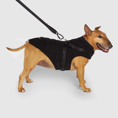 Canada Pooch - The Harness Puffer