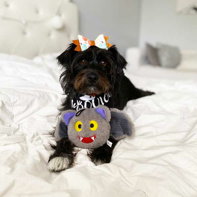 Patchwork Pet - Halloween Pricklet Ball Bat