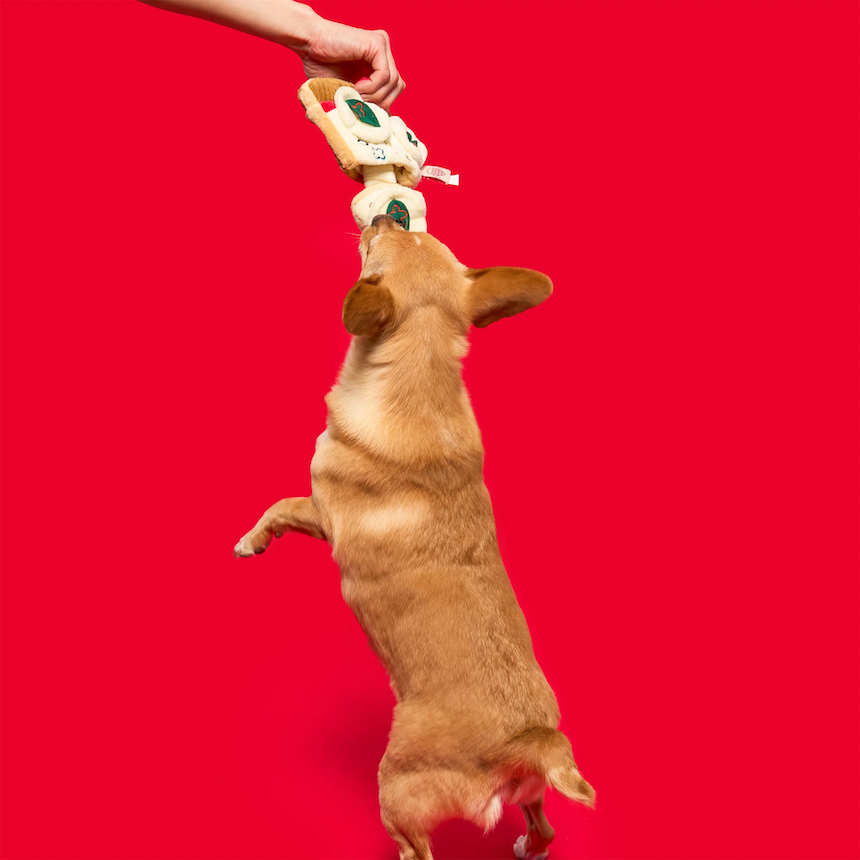 The Furryfolks - Pizza Nosework Toy