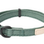 Fuzzyard Life - Dog Collar