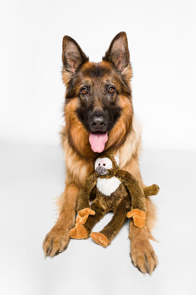 Fluff & Tuff - Albert Monkey