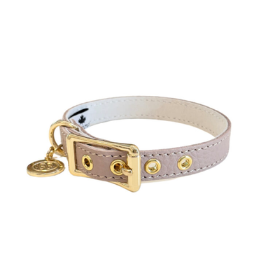 Buddy Belts - Leather Dog Collars