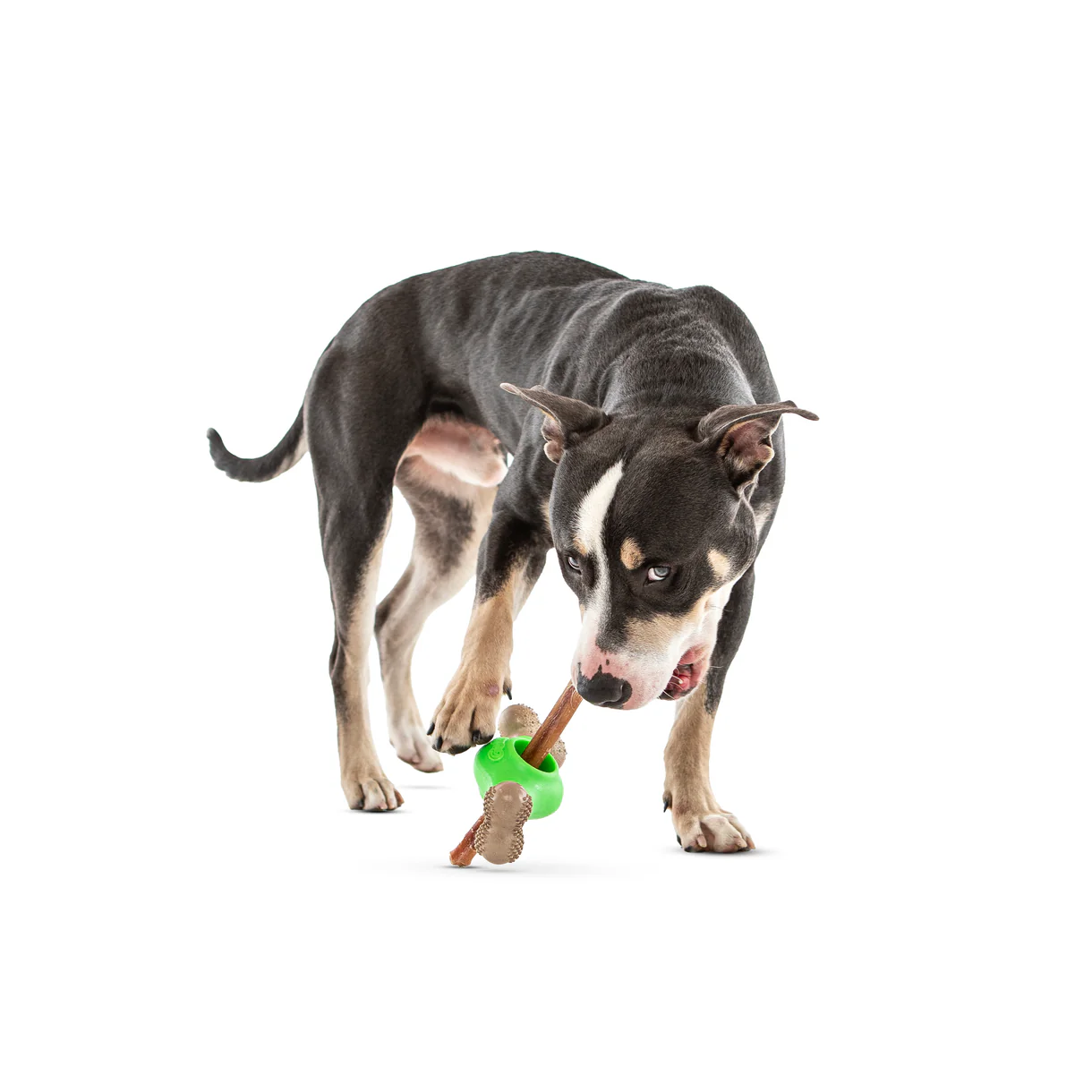 Guru - Adjust-A-Chew Treat Holder