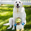 HuggleHounds - Dilly Duck Knottie Plush Dog Toy