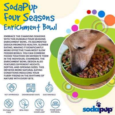 SodaPup - Four Seasons Shallow Slow Feeder Enrichment Bowl