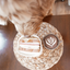 Lambwolf Collective - Latte Pop Dog Toy