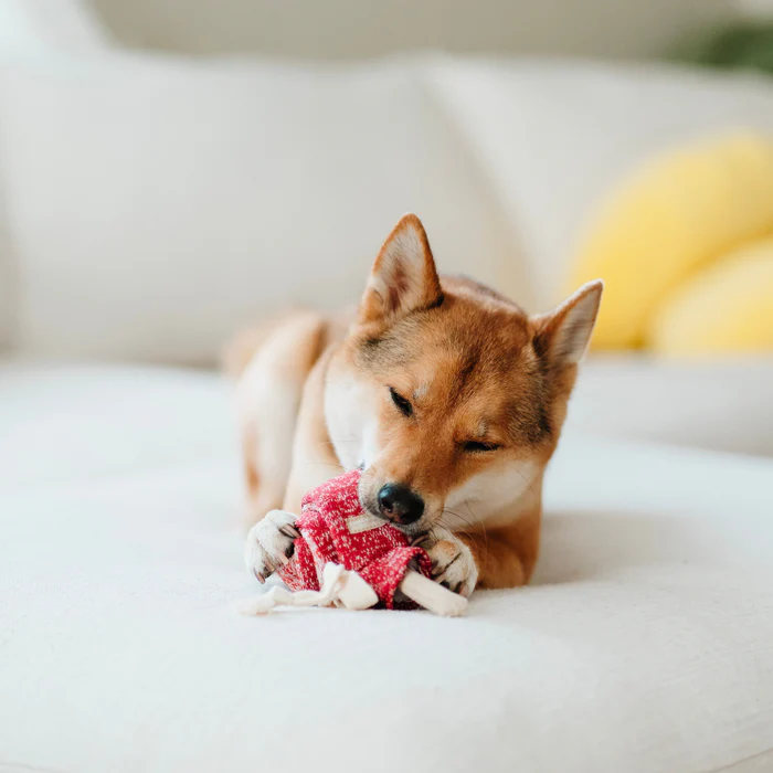 Lambwolf Collective - Lollipop Dog Toy