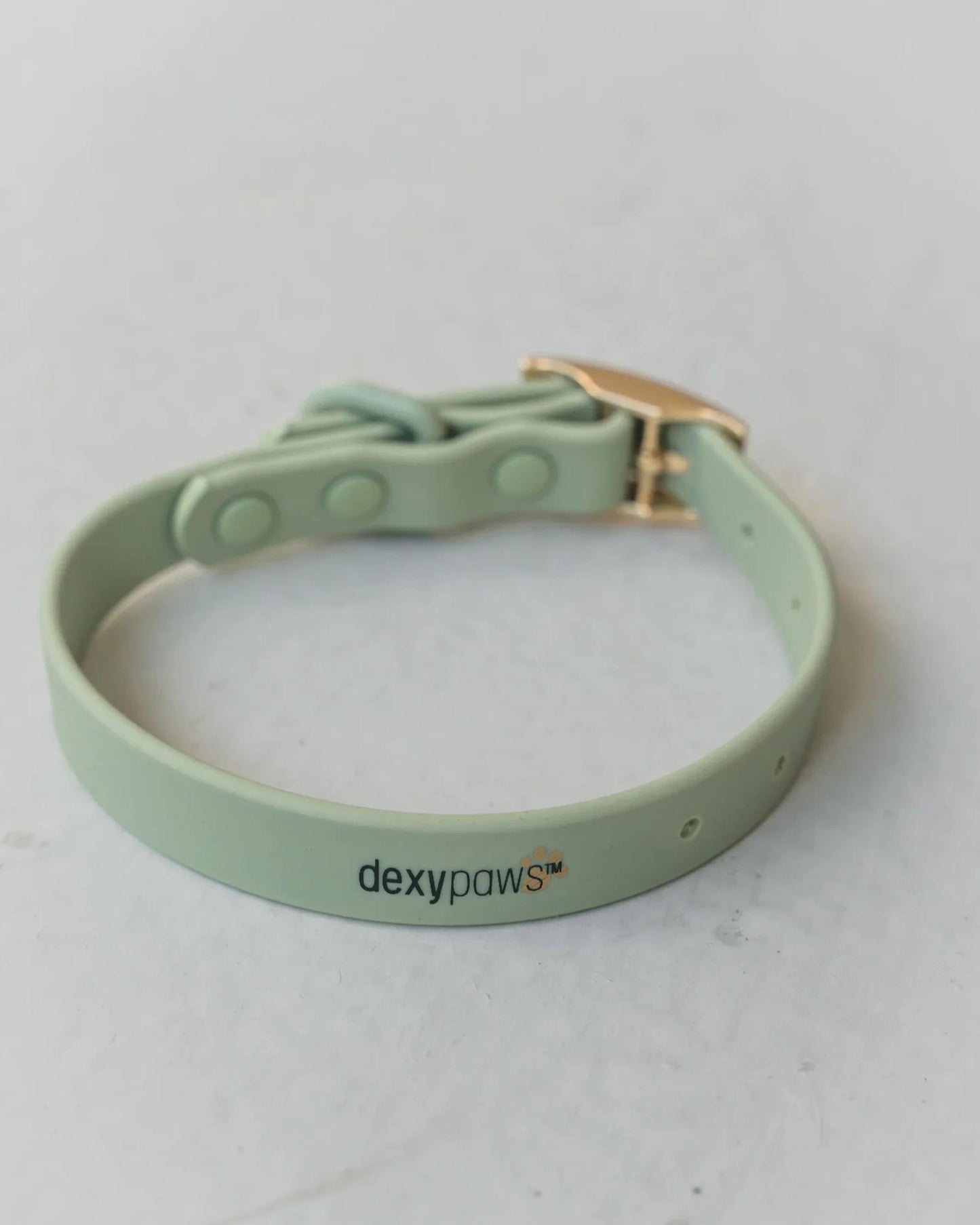 Dexypaws - Waterproof Dog Collar