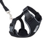 RC Pets - Adventure Kitty Harness