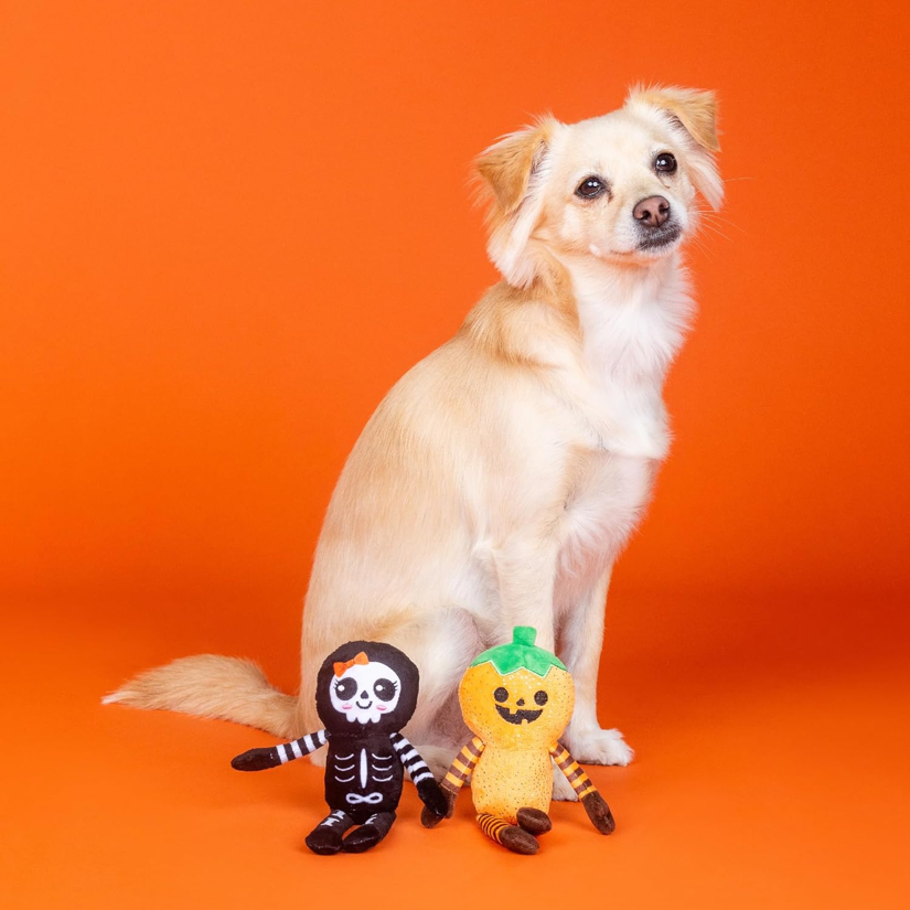 Fringe - Oh my Gourd! 2-piece Plush Dog Toy