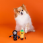 Fringe - Oh my Gourd! 2-piece Plush Dog Toy