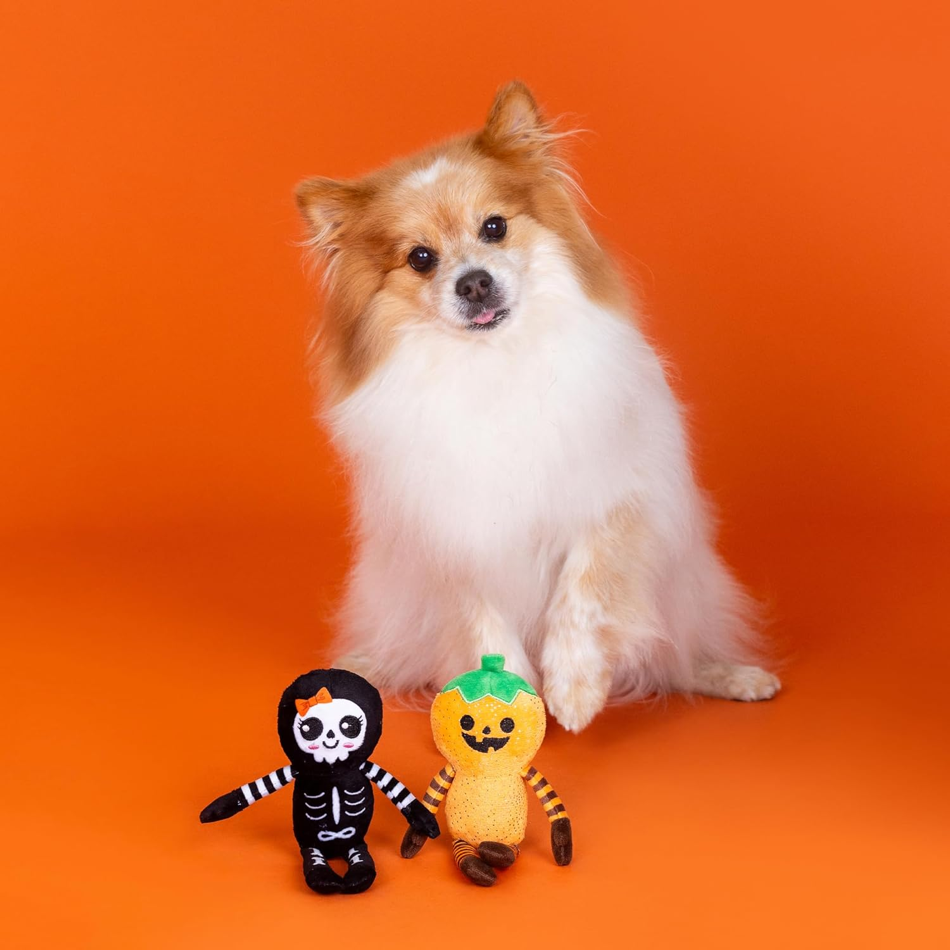 Fringe - Oh my Gourd! 2-piece Plush Dog Toy
