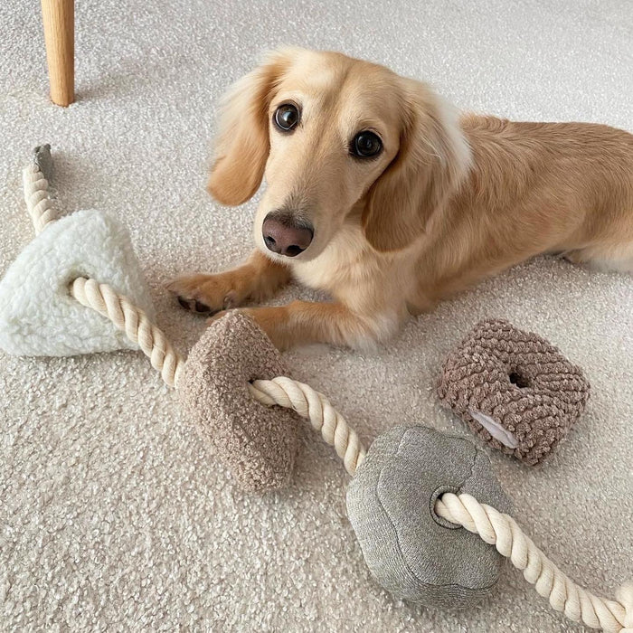 Lambwolf Collective - BLOCS Dog Toy