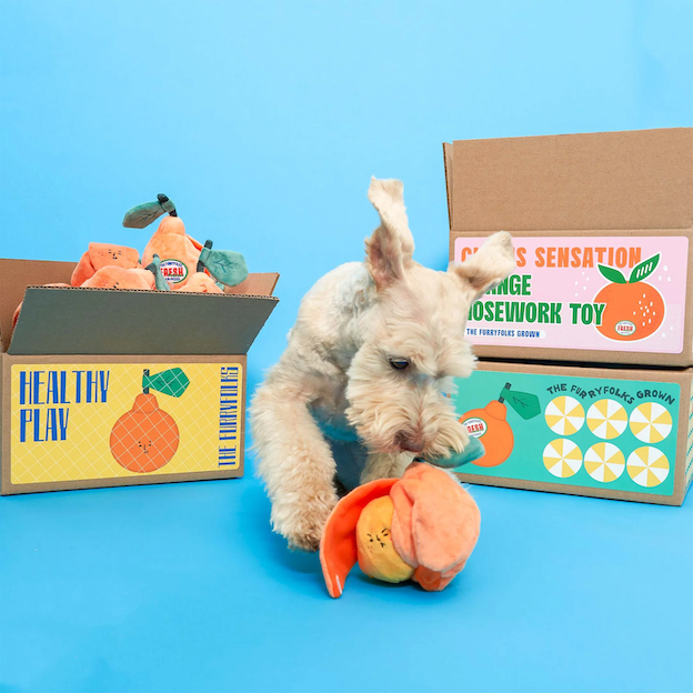 The Furryfolks - Orange Nosework Toy