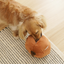 Lambwolf Collective - Cindarella Dog Toy