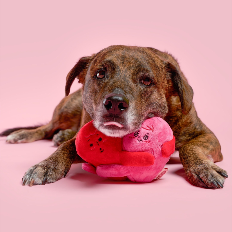 The Furryfolks - Love Locked Nosework Toy