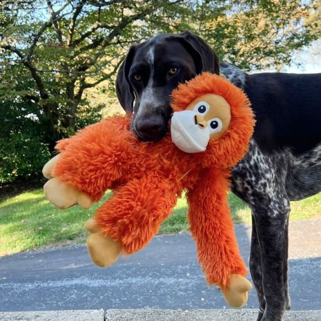 Tall Tails - Orangutan Rope Body Dog Toy 14"