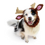 Zoo Snoods - Reindeer