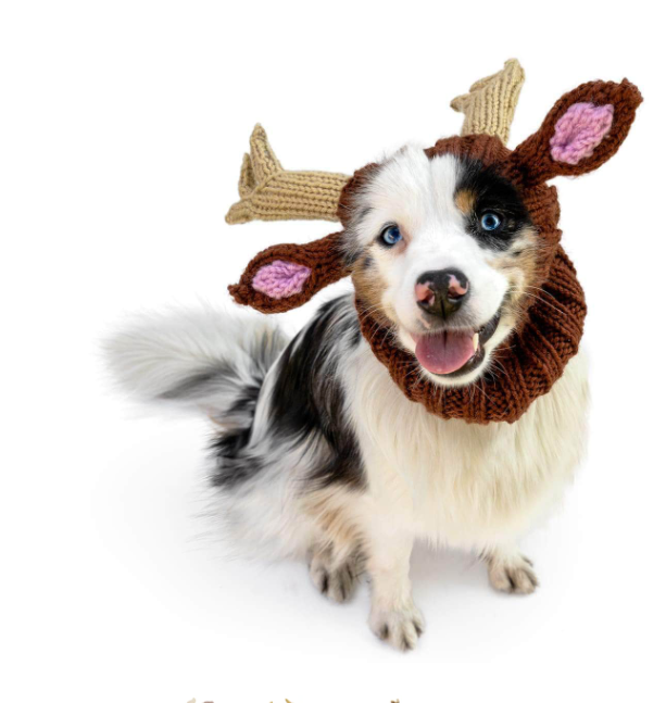 Zoo Snoods - Reindeer