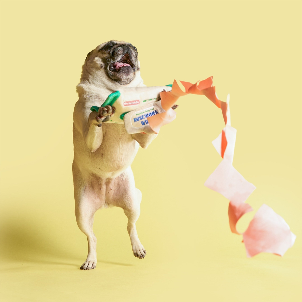 The Furryfolks - Doggo Cleaning Sheets Nosework Toy