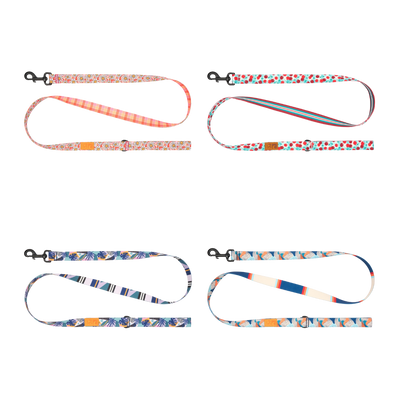 RC Pets - Eco Leash