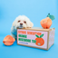 The Furryfolks - Orange Nosework Toy